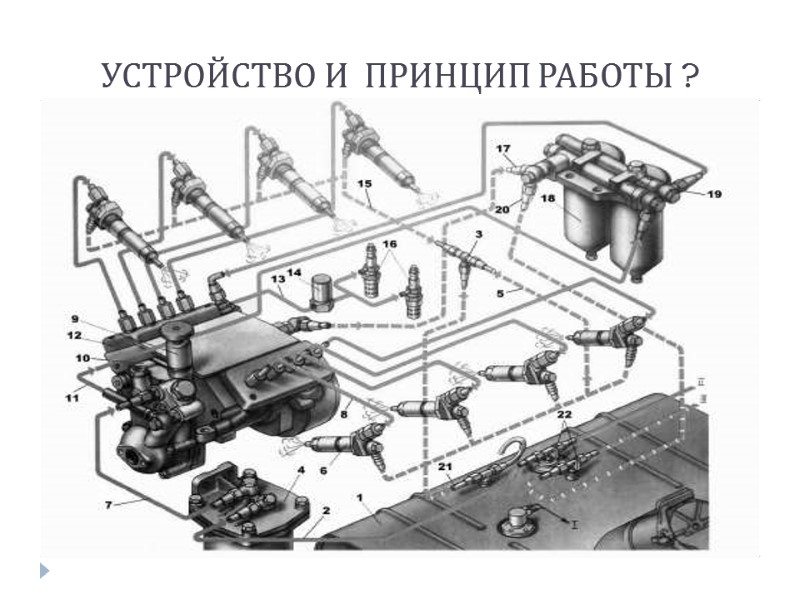 УСТРОЙСТВО И  ПРИНЦИП РАБОТЫ ?